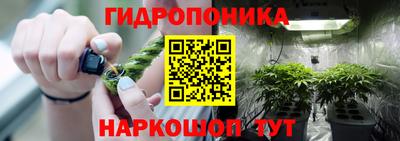 мдпв Кимры