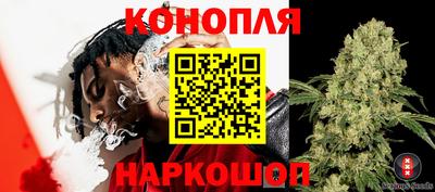 не бодяженный Кингисепп