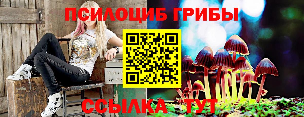 Псилоцибиновые грибы Cubensis Туапсе